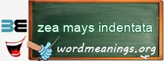 WordMeaning blackboard for zea mays indentata